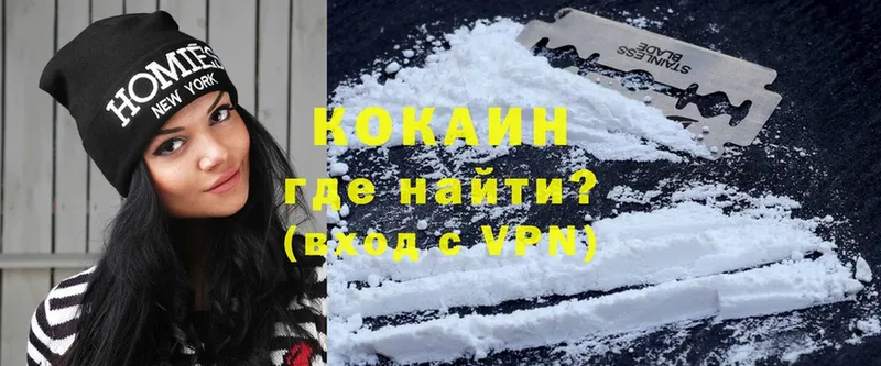 Cocaine FishScale  Электрогорск 